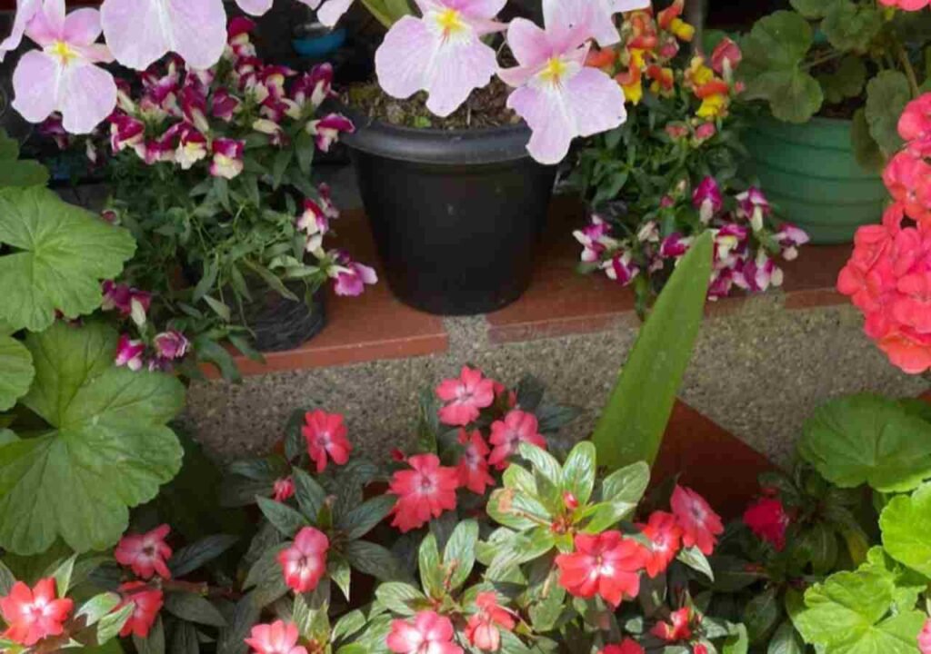 Finca De Las Flores