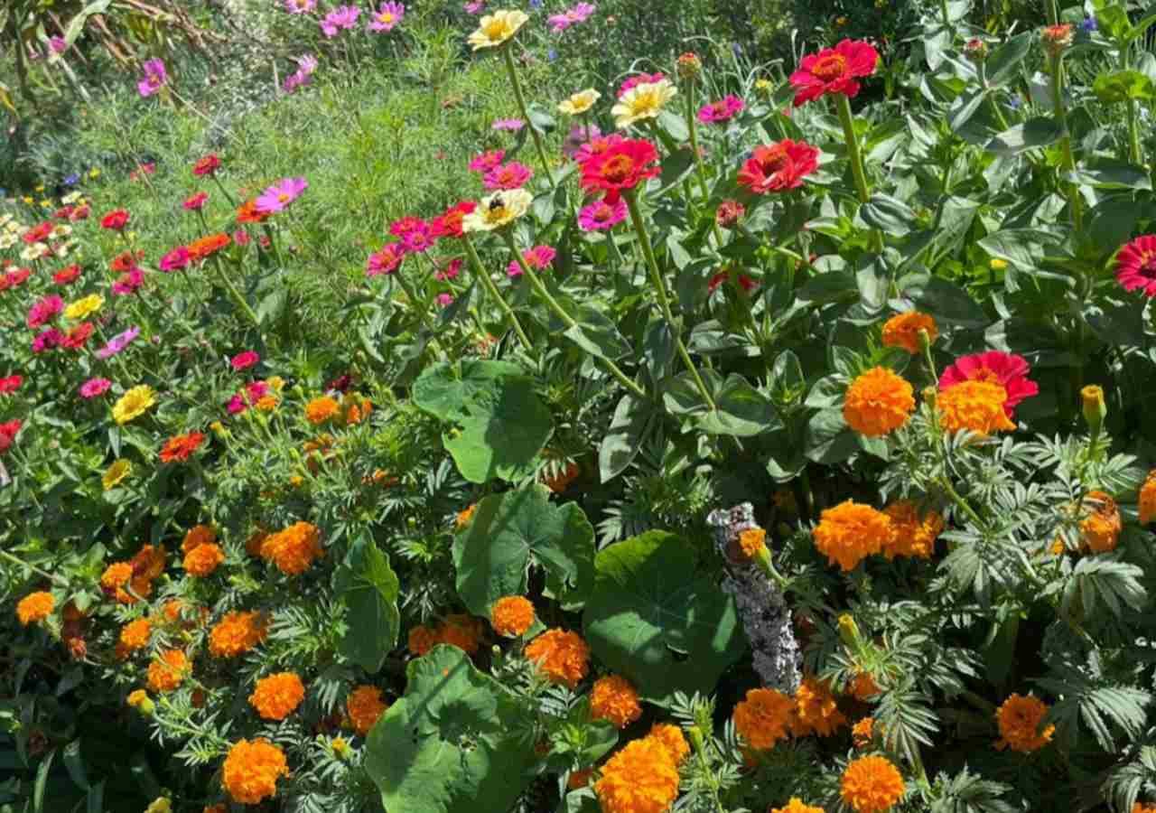 Finca De Las Flores Medellin