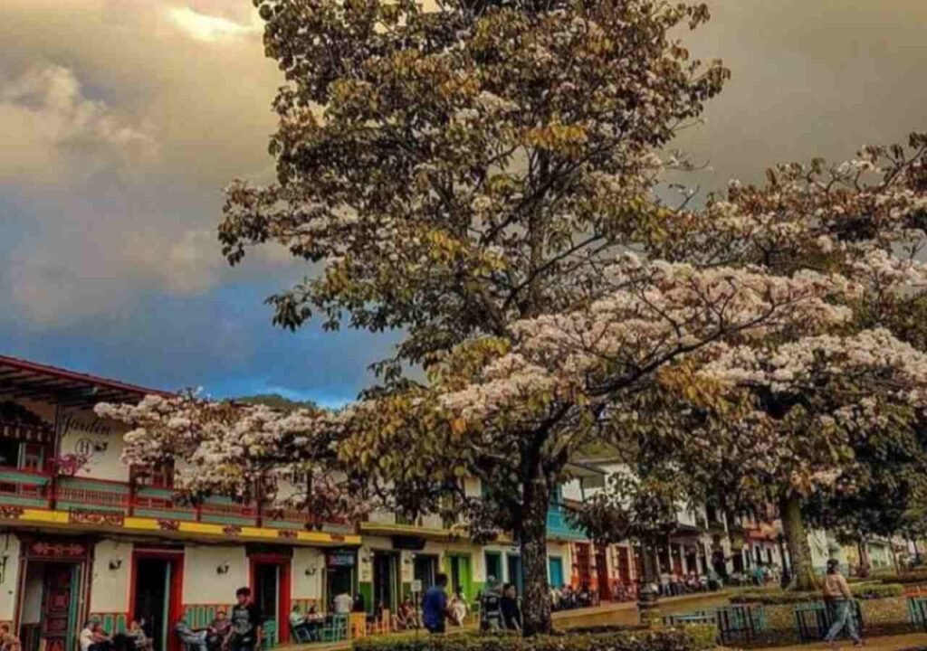 Jardin Medellin 3