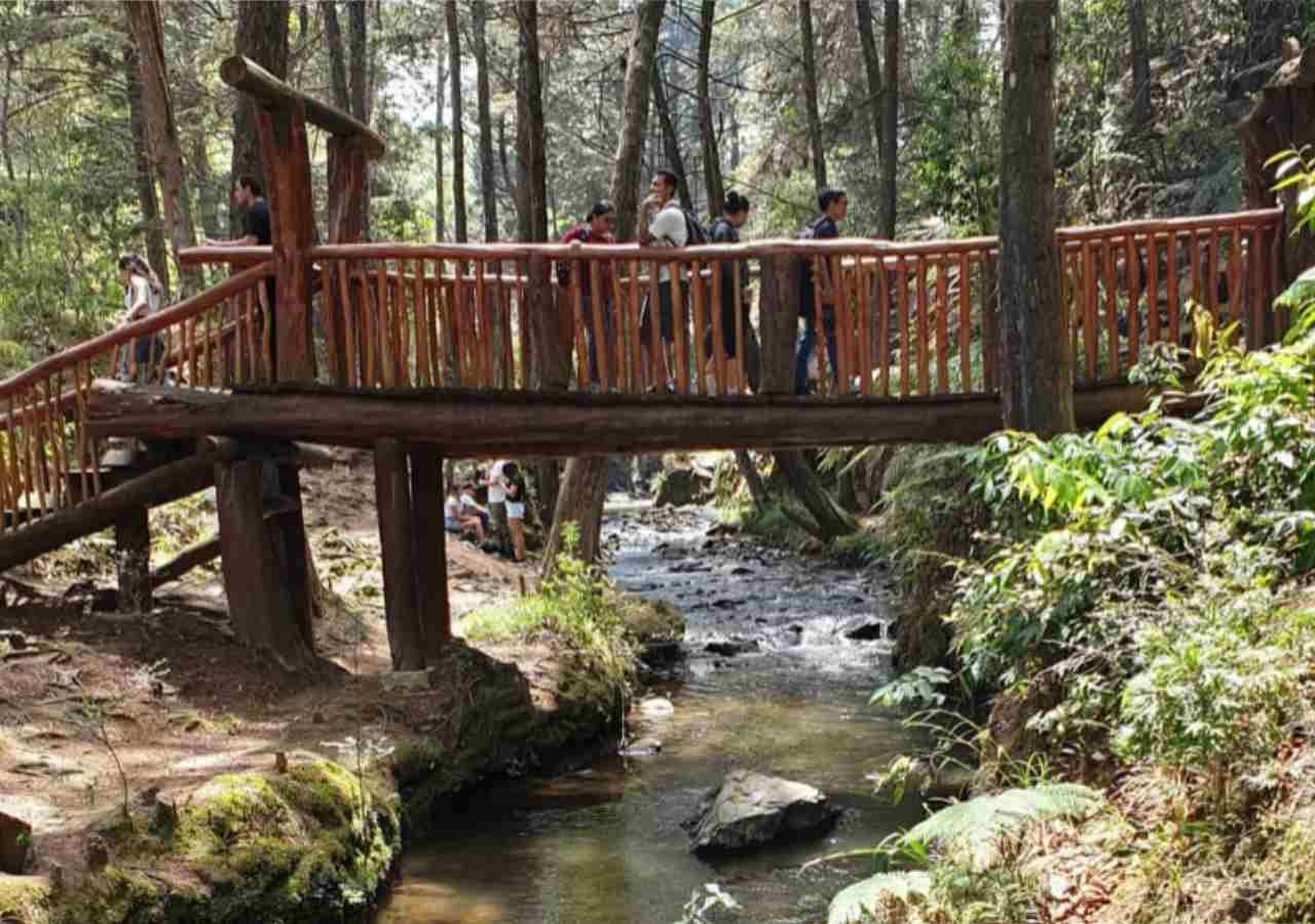 Parque Arvi Medellin 1