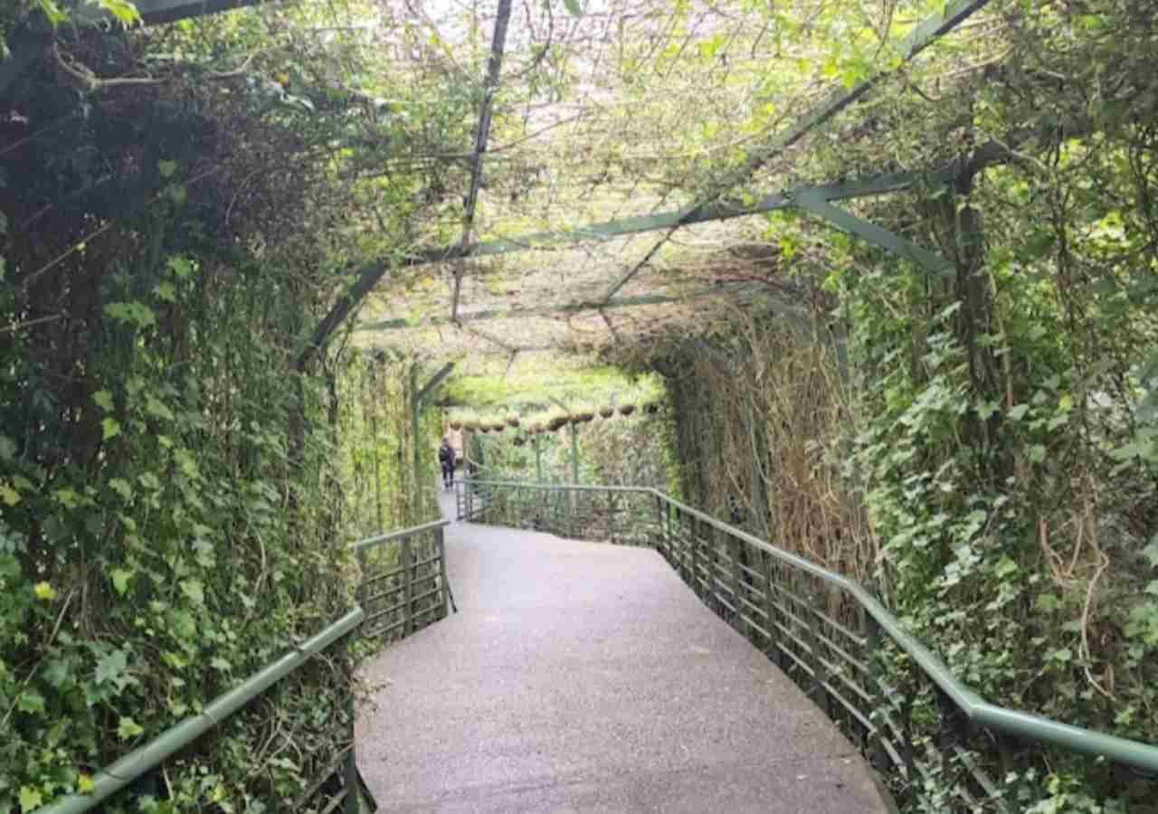 Parque Arvi Medellin 2