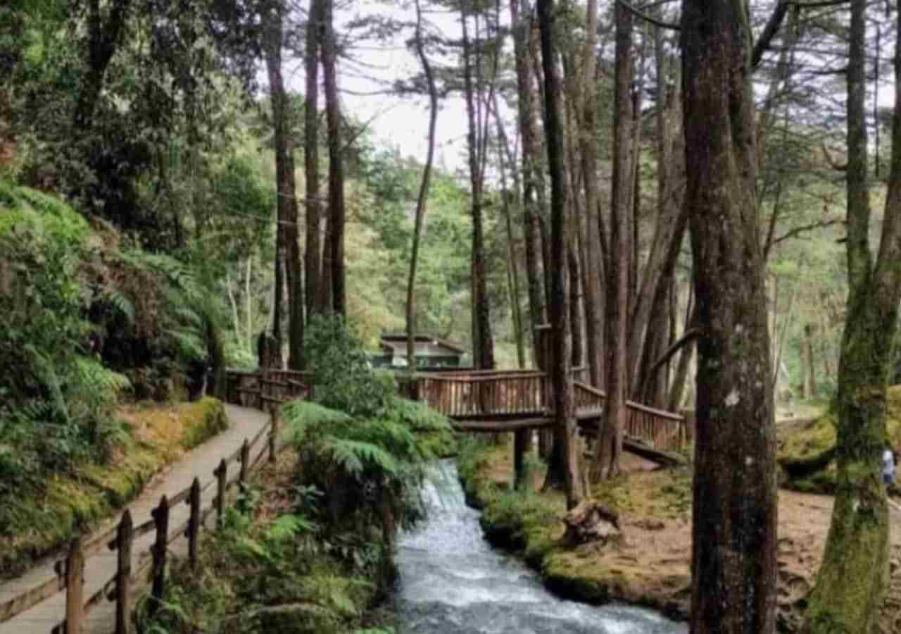 Parque Arvi Medellin 4