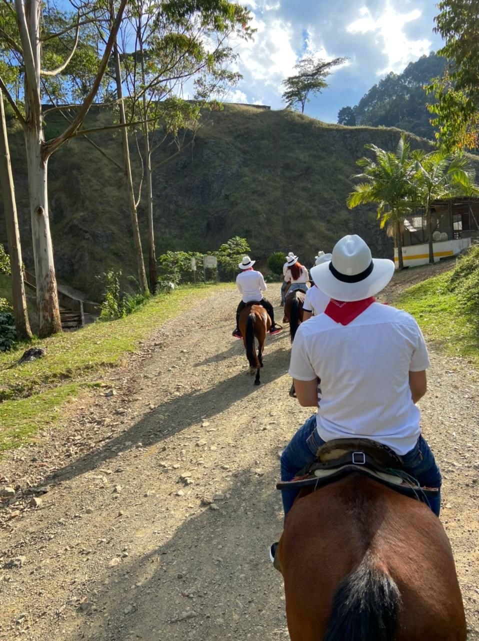 Imagen De Whatsapp 2025 02 28 A Las 20.40.14 3da7ce50