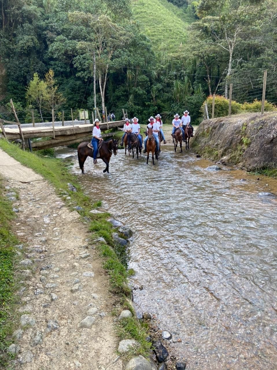 Imagen De Whatsapp 2025 02 28 A Las 20.40.14 4c479082