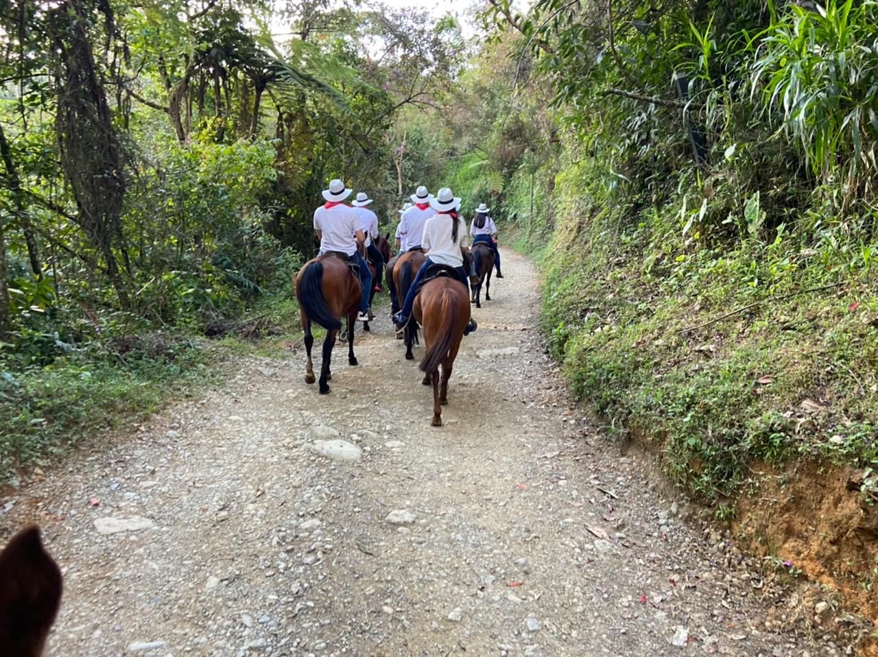 Imagen De Whatsapp 2025 02 28 A Las 20.40.14 500480ab