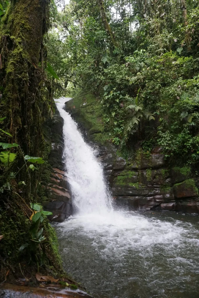 Salto Tequendamita